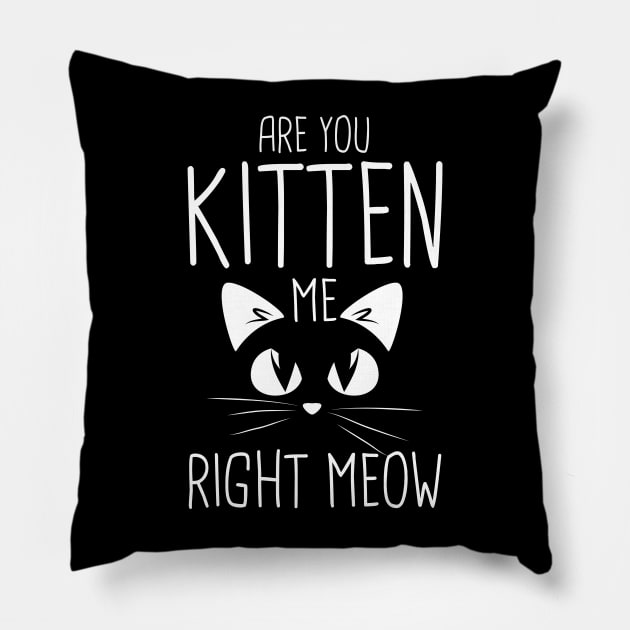 Are You Kitten Me Right Meow Pillow by TeddyTees