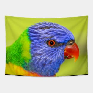 Rainbow Lorikeet Tapestry