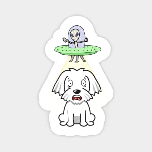 Cute white dog is abducted by aliens Magnet