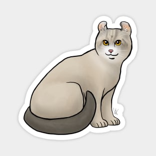 Cat - American Curl - Shorthair Tan Magnet