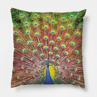 Beautiful Bohemian Peacock with Colorful Green Blue Yellow Pink Boho Feathers in Botanical Nature Pillow