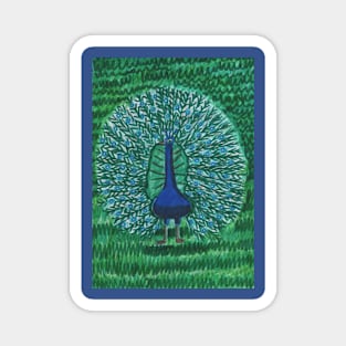 Gorgeous Peacock Magnet