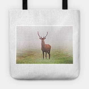 deer time Tote