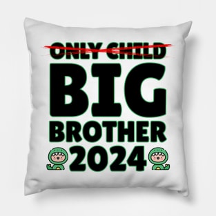 New Big Brother Pillow