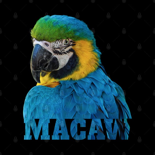 Beautiful Blue and Gold Macaw Parrot Image and Word by Einstein Parrot