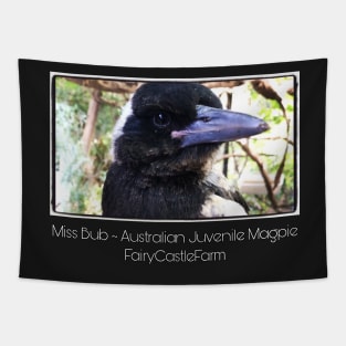 Bub young Australian Rescue Magpie Tapestry