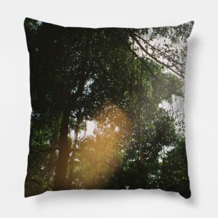 Tropical Serenity: Jungle Canopy Film Photo Print Pillow