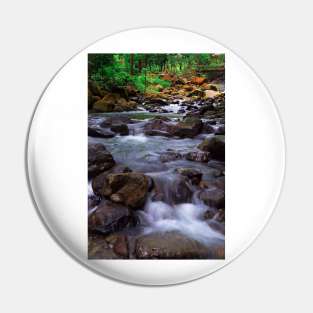 Mountain Stream Pin