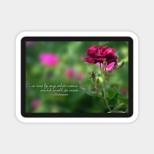 A rose by any other name... (card) Magnet