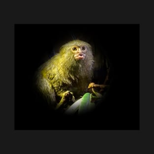 Marmoset T-Shirt