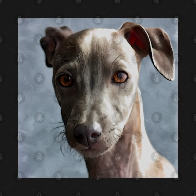 I Love Dogs, The Best Friends, Italian Greyhound by Felipe G Studio