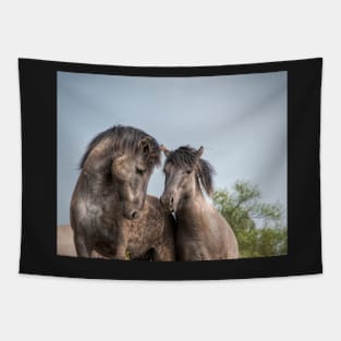 Konik Horses Tapestry