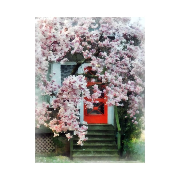 Spring - Magnolia by Red Door by SusanSavad