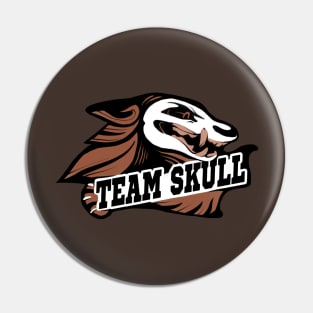 Team Skull Pin