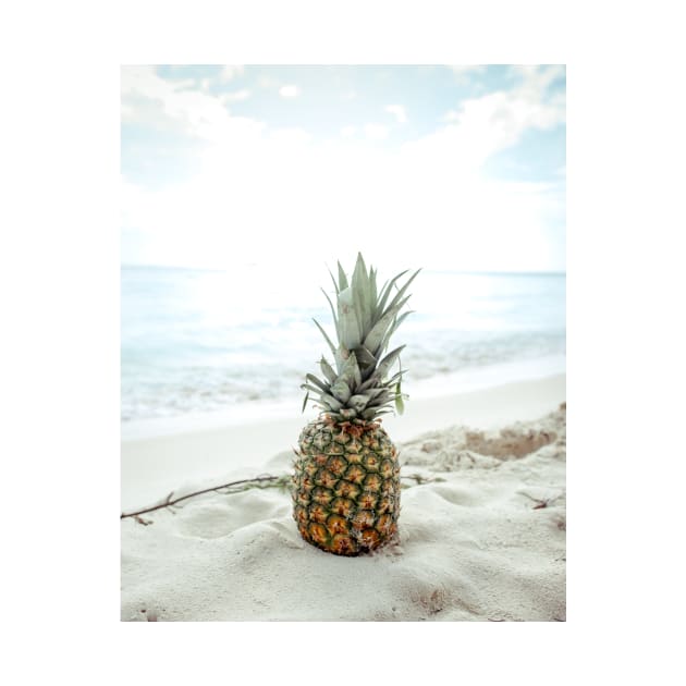 Beach Pineapple by NewburyBoutique