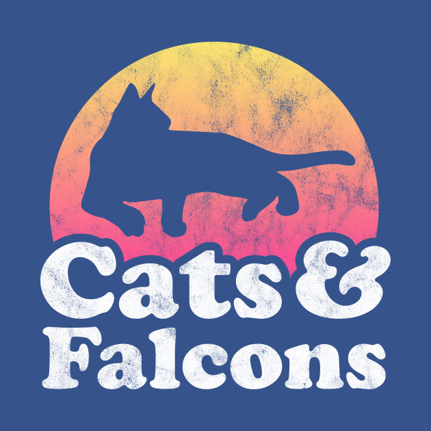 Disover Cats and Falcons Gift for Men, Women Kids - Falcons - T-Shirt
