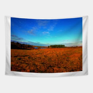 Retro Vintage Tumblr Countryside Landscape Tapestry