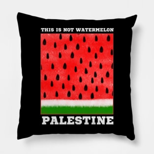 This is Not Watermelon Pillow