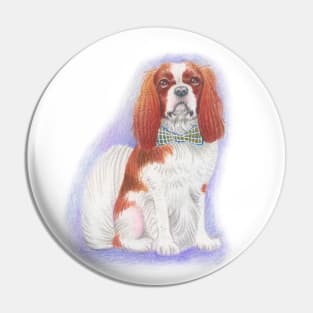 Cavalier King Charles Spaniel - Blenheim with a Bowtie Pin