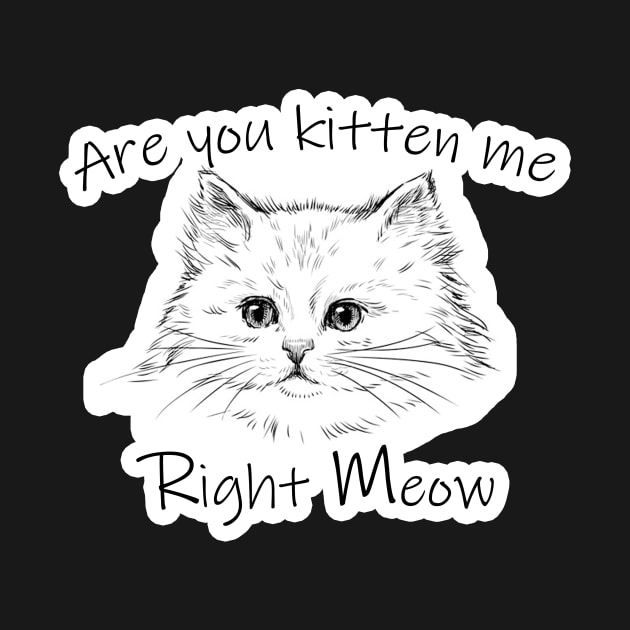 Are you kitten me right meow Gift Saint Valentin 2021 NOW by ClassyStores