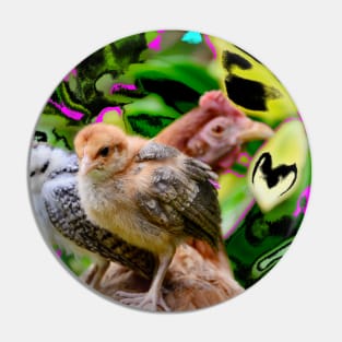 Chicken with chicks / Swiss Artwork Photography Pin