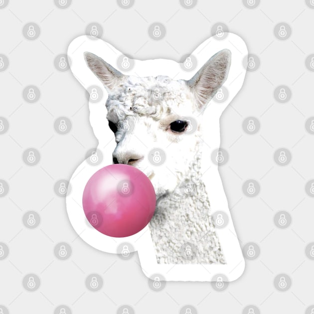 All you need is love and llamas Magnet by davidisnoartist