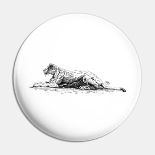 Relaxing Lioness in the tundra Pin