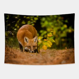 Red Fox Tapestry