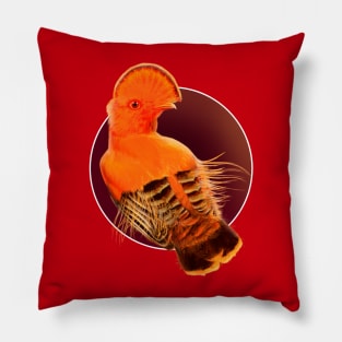 Cock-of-the-Rock Tropical Bird Pillow