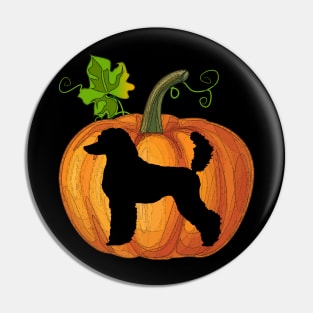 Poodle in pumpkin Pin