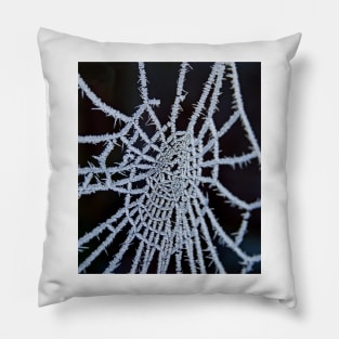 Frozen Web Pillow