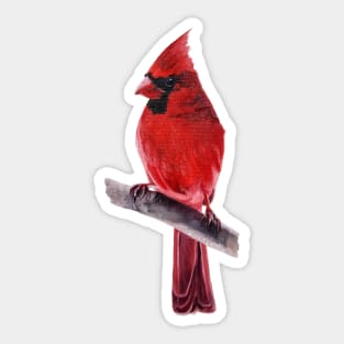 Bwiselizzy Cute Northern Cardinal T-Shirt