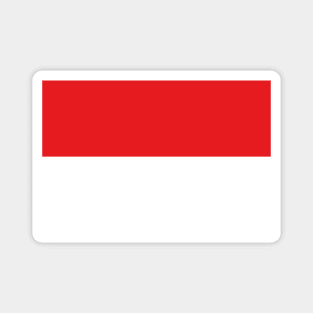 Flag of Indonesia Magnet