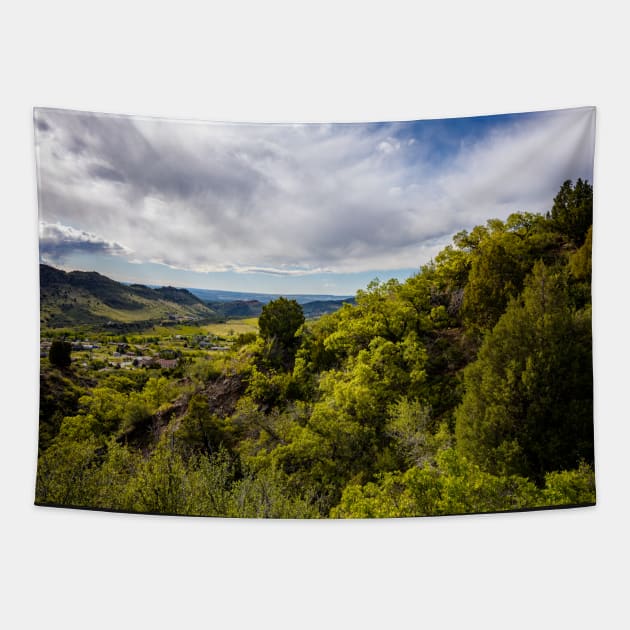 Summer View South Near Golden, Colorado Tapestry by jecphotography