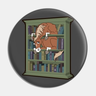 Horse in a Bookcase Pin