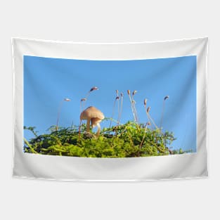 Cuddle shroom Tapestry