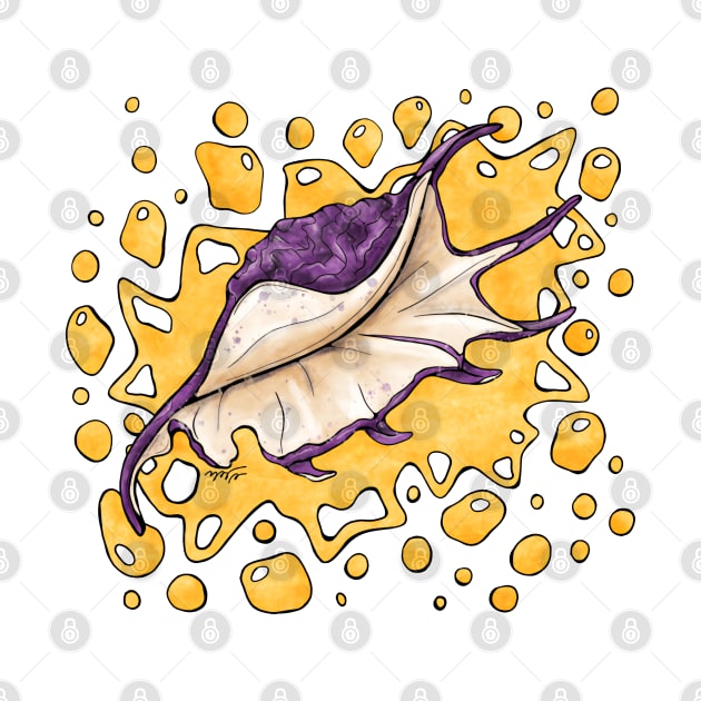 Purple conch shell with bright colors, spider conch by miraimanda