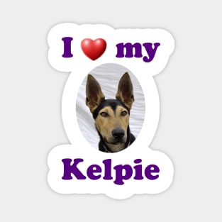 I Love My Kelpie Magnet