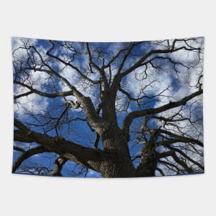 Branches Tapestry