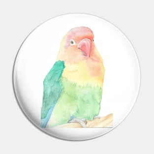 Lovebird watercolor portrait animal parakeet painting Pin