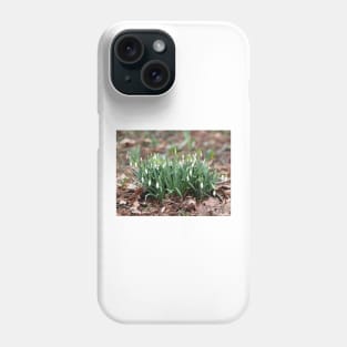 Delicate Snowdrop flower is one of the spring symbols telling us winter is leaving Phone Case