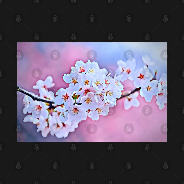 Japanese Cherry Blossom by Unique Designs