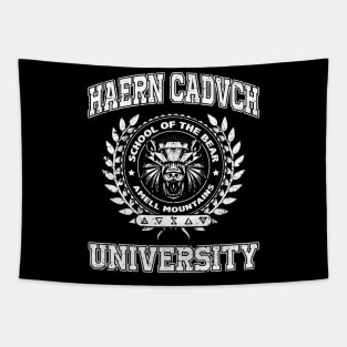 Haern Cadvch University Bear School Tapestry