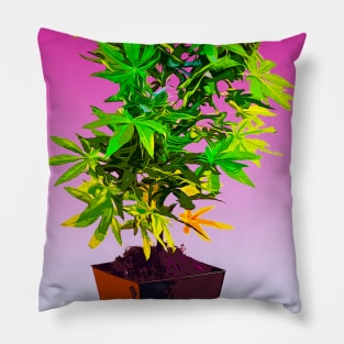 LA MACETE Pillow