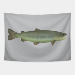 Marble Trout Tapestry