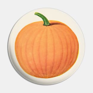 Illustration of Pumpkin (1915) Pin