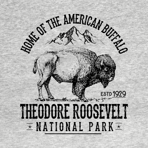 Disover Theodore Roosevelt National Park Souvenirs Hiking Adventure - Theodore Roosevelt - T-Shirt