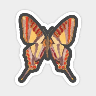 BUTTERFLY Watercolor in Yellow, Red, Orange, and Brown Magnet