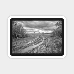 Waterlogged and boggy entrance to an arable field in the English countryside Magnet