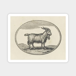 Goat Woodcut Magnet